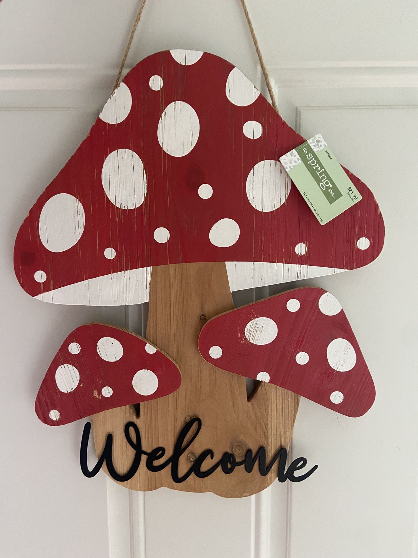 Spring Themed Door Hanger