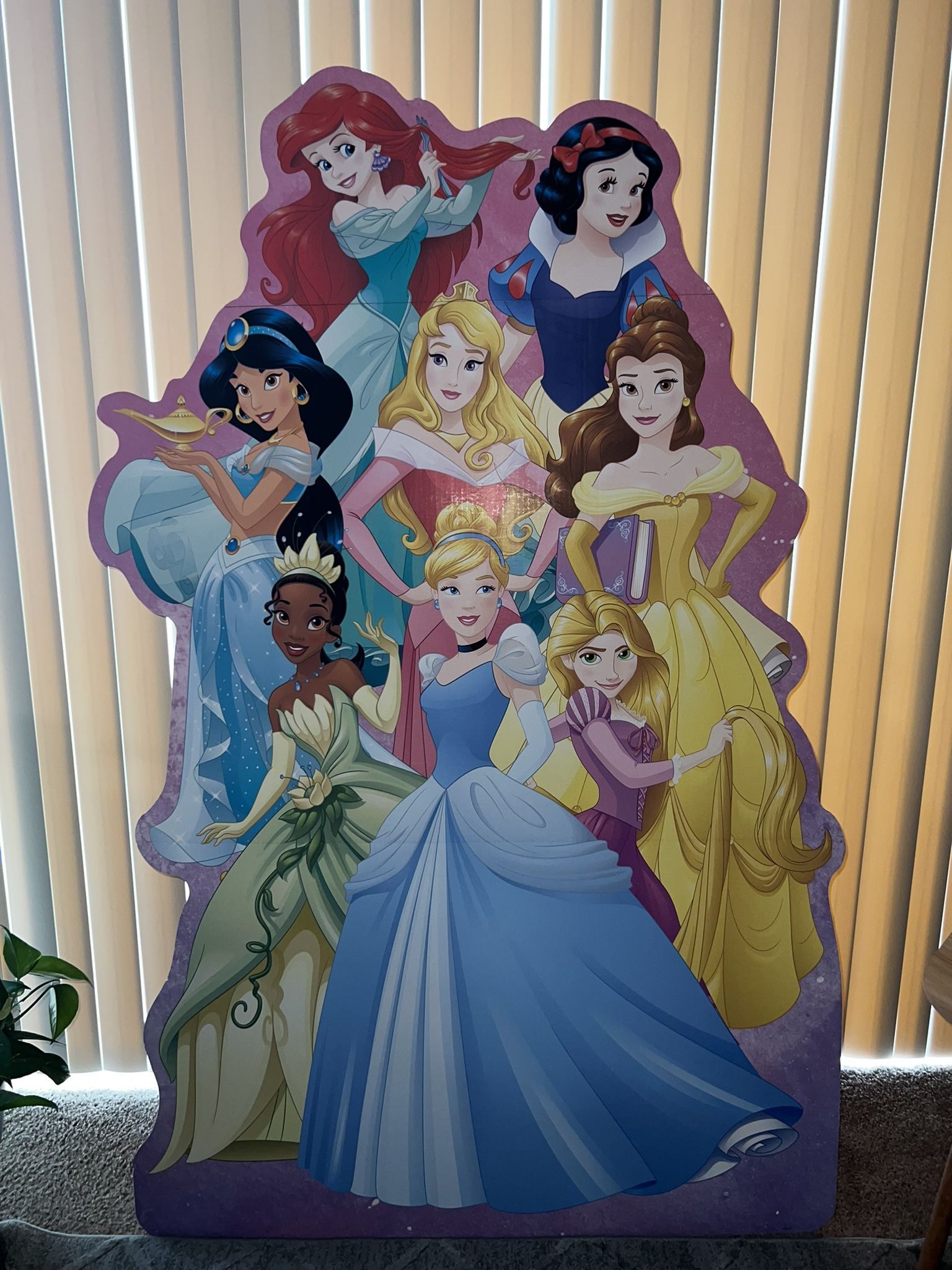 Disney - Princesses Cardboard Cutout