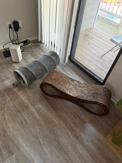 Free cat and accessories