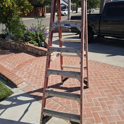 6 Ft Werner Ladder