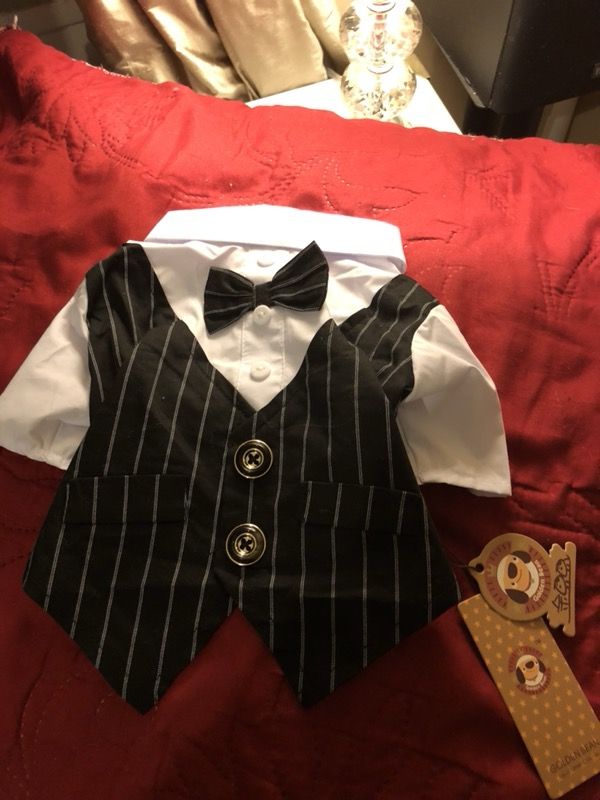 Tuxedo super elegant for small dogs. Extra Size small