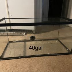 40 Gal Tank