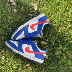 Dunks Size 7y