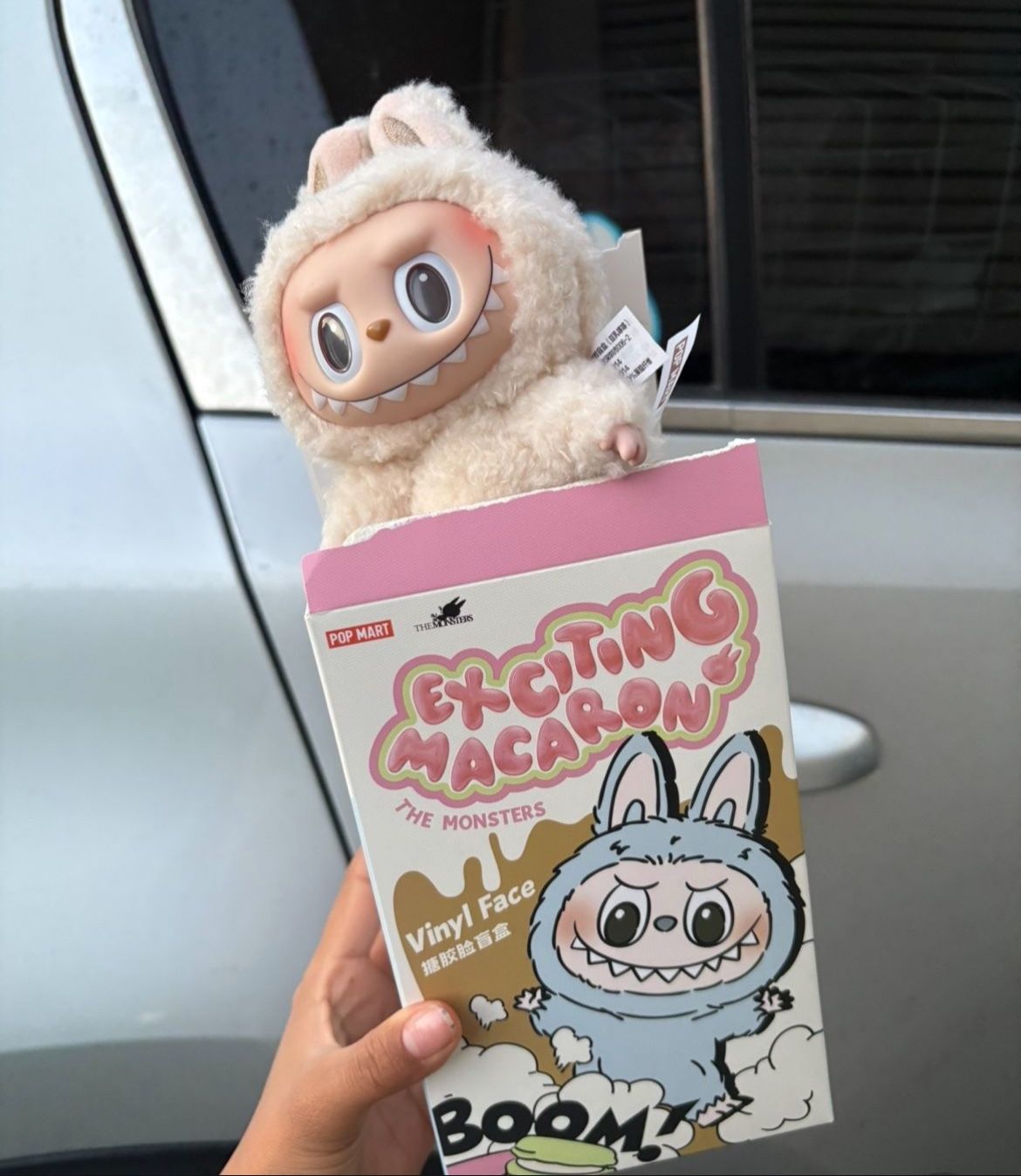 Labubu Exciting Macaron Soymilk