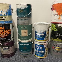 Bunch Of Paints And Primers 