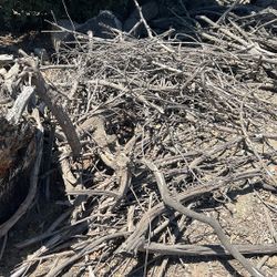 Firewood