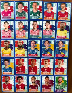 FIFA World Cup Panini Cards