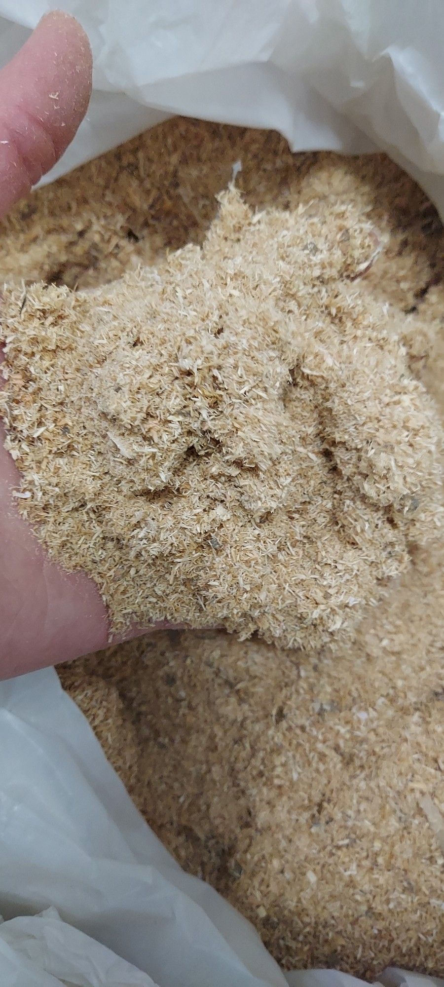 Sawdust
