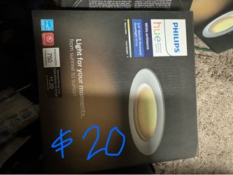Philips Hue Recessed Light