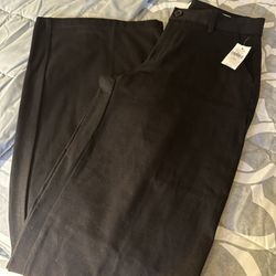 Women’s Pants