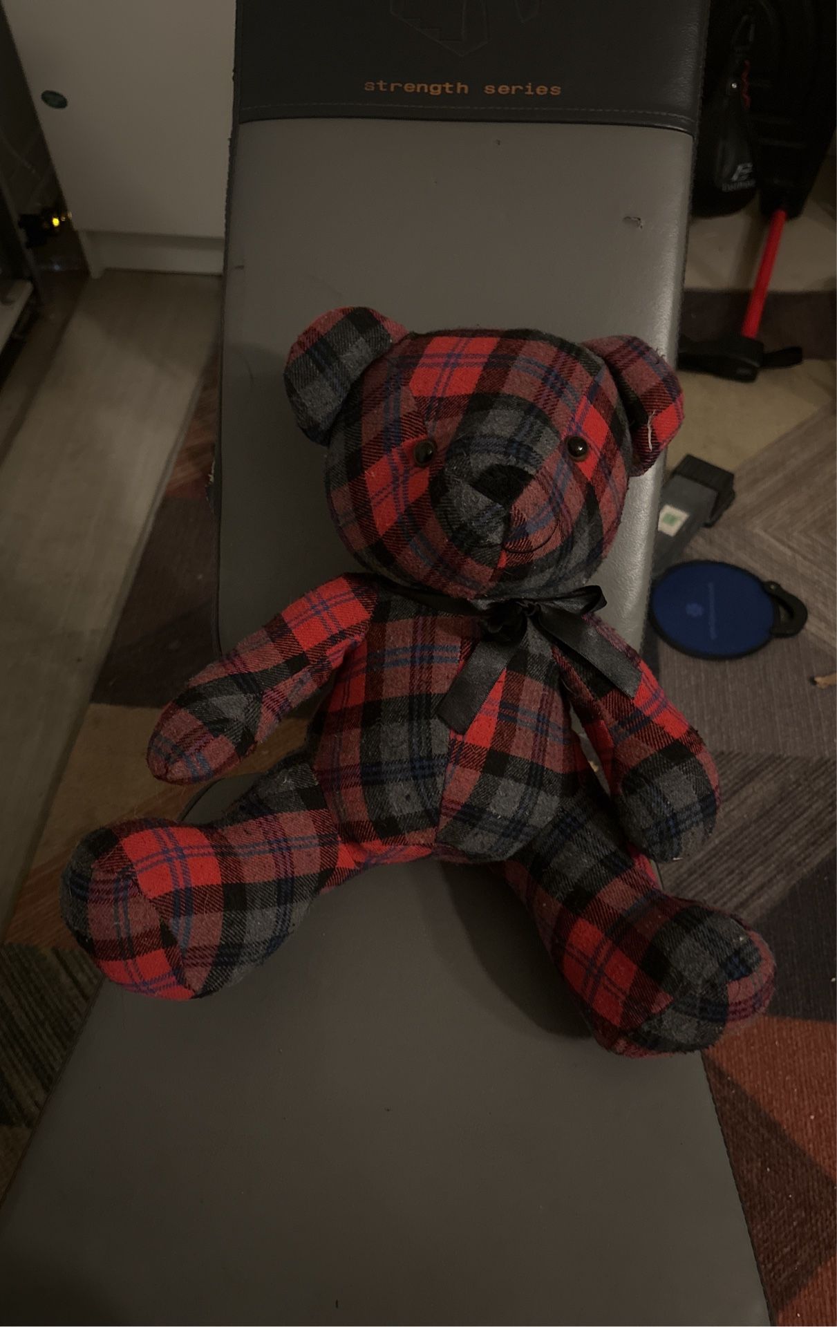 Plaid Bear