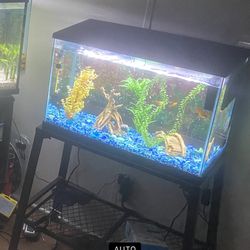 20 Gallon Fish Tank With Stand 