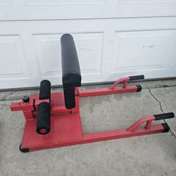 Sissy Squat Gym Equipment 