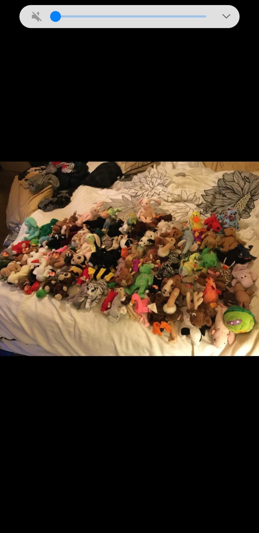 Beanie babies