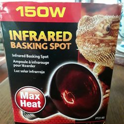 150w Infrared Basking Spot In Weeki Wachee Spring Hill