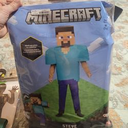 Minecraft Steve