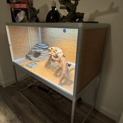 Zen Habitats Reptile Terrarium Used 