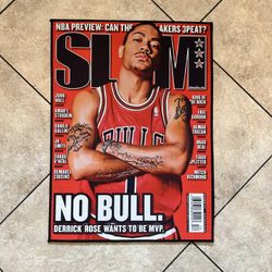 Derrick Rose NBA Preview Rug
