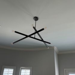 West elm Modern Matte Black Light Fixtures