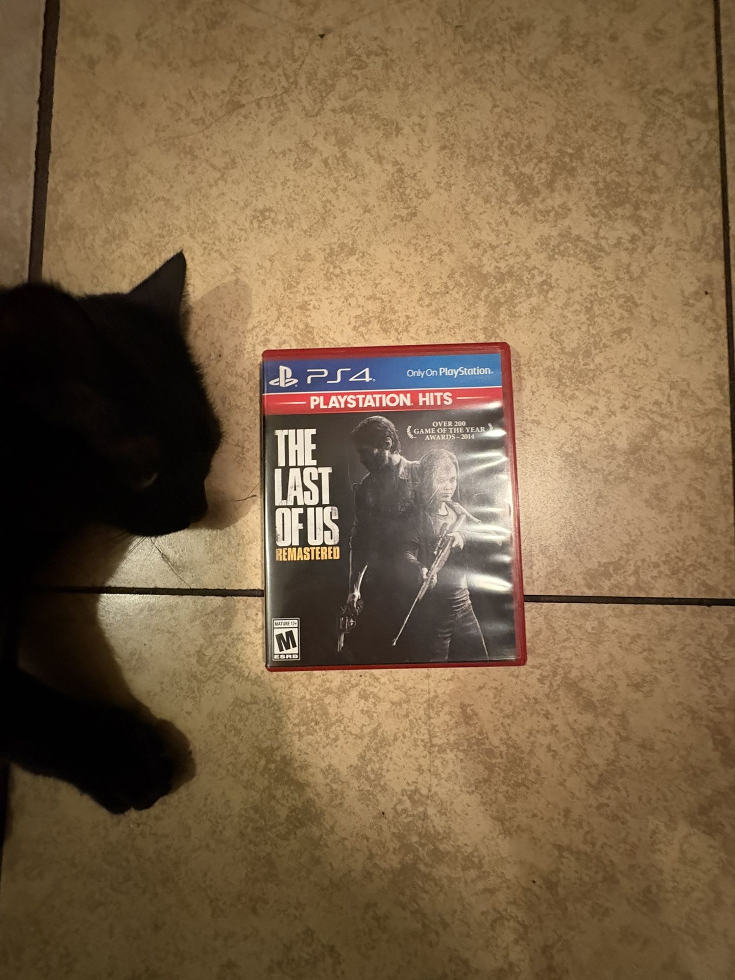 The Last Of Us Game