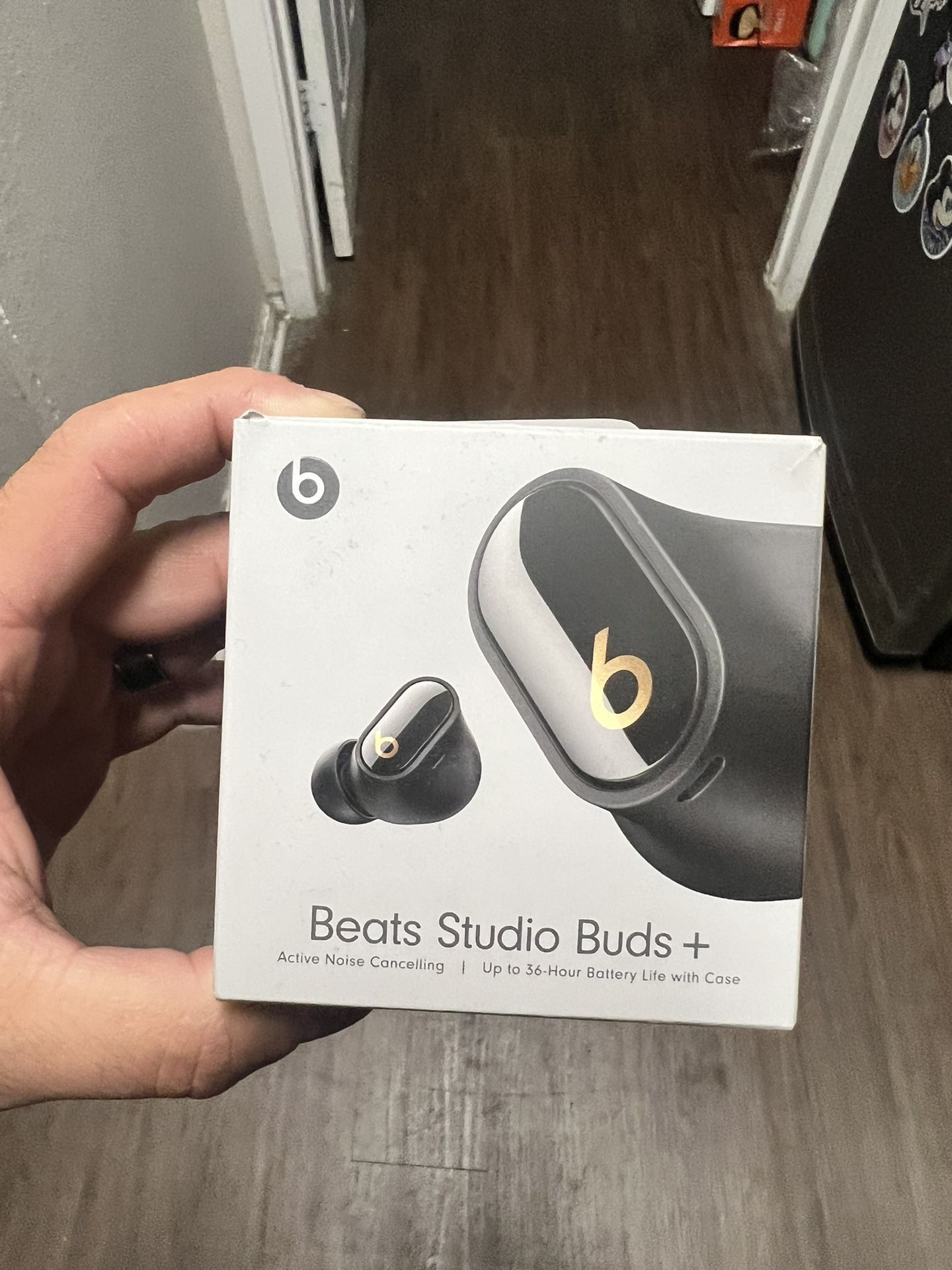 Beats Studio Plus Earbuds