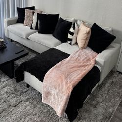 Light Beige Couch 