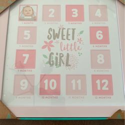 Baby girl frame Milestone 1-12 Months Baby shower Gift
