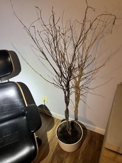 Empty Easyplant self-watering planter