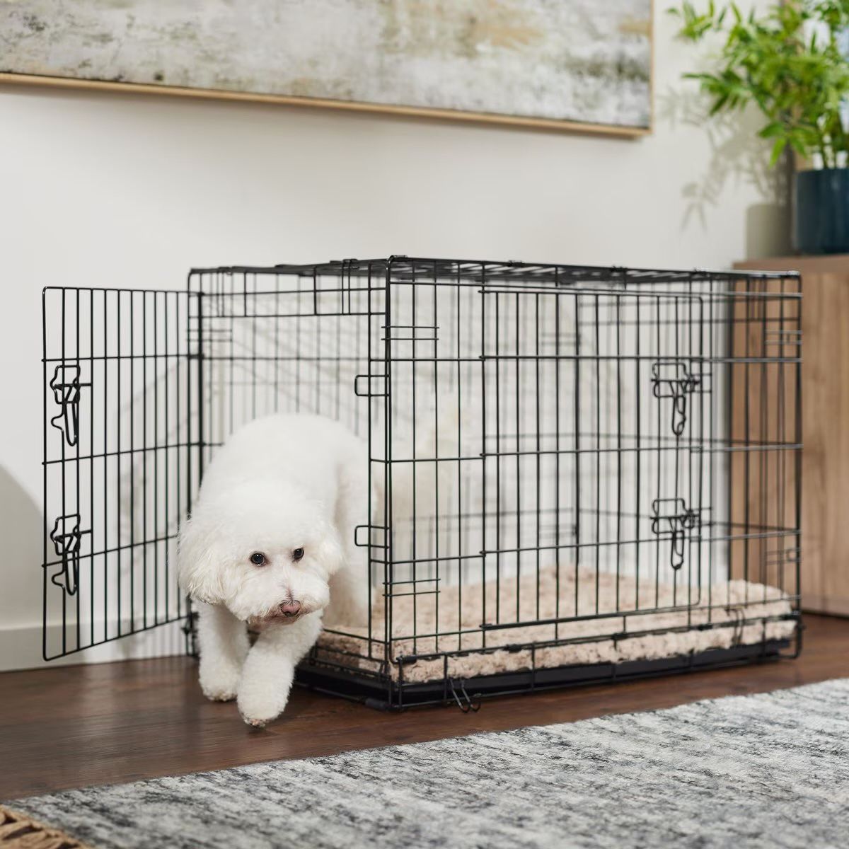 Dog Cages 