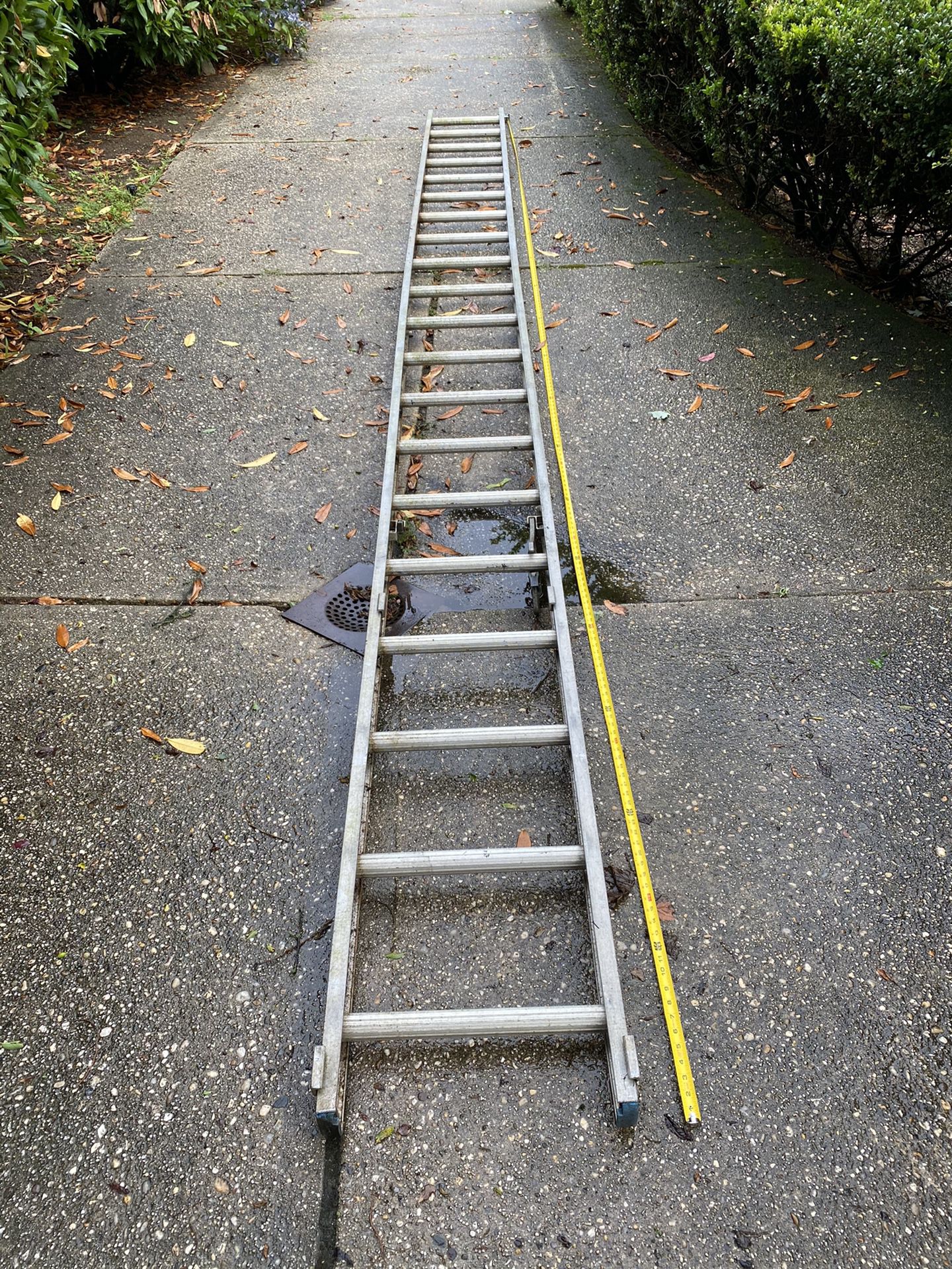 Big ass ladder