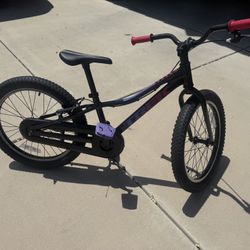 Trek Bike