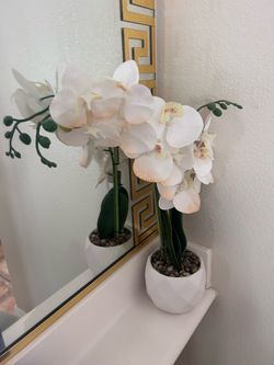 Beautiful white flower with pot decor