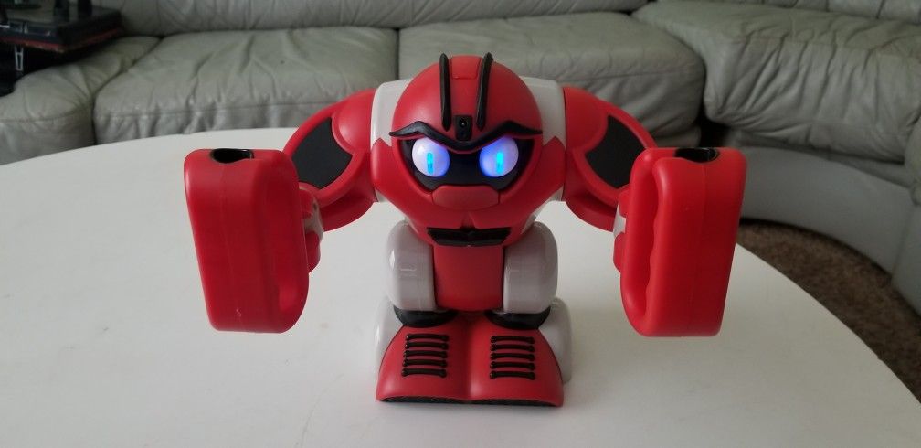 Boombot interactive robot