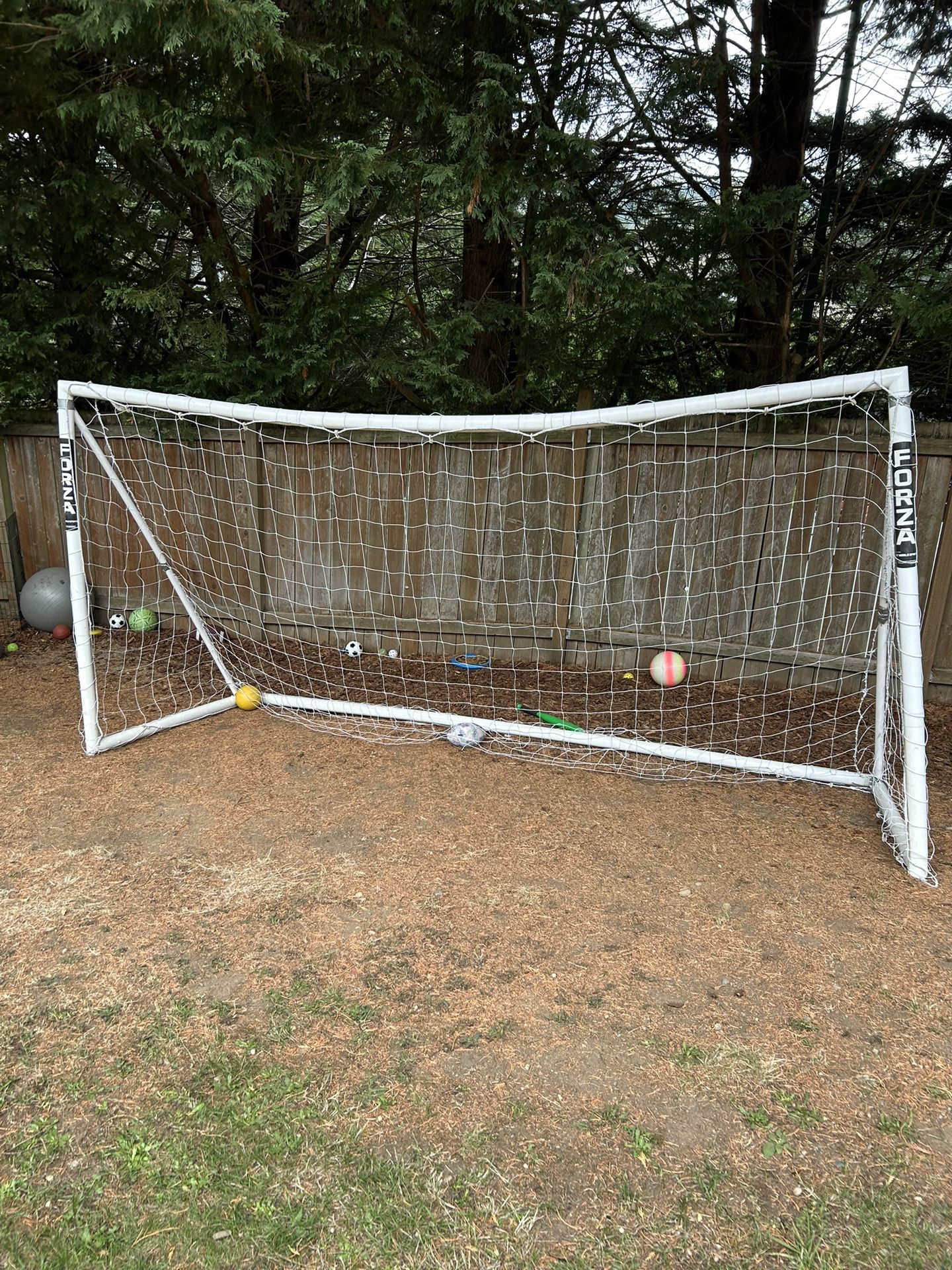Soccer Goal 12’ X 6’