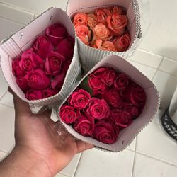 Dozen Roses