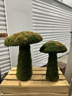 Moss mushrooms