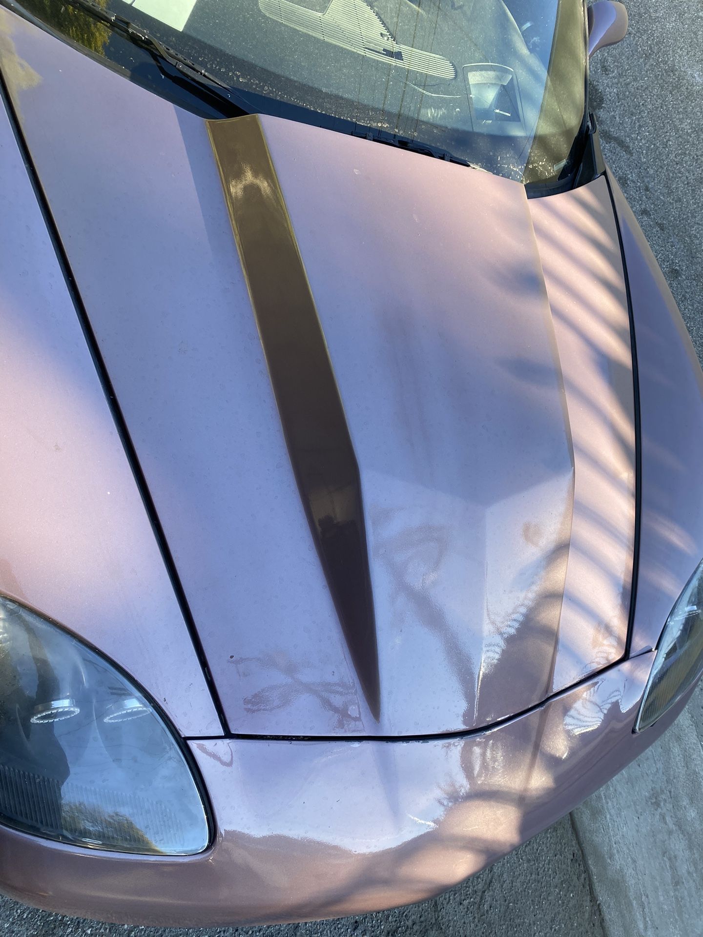 05-13 C6 Corvette Cowl Hood
