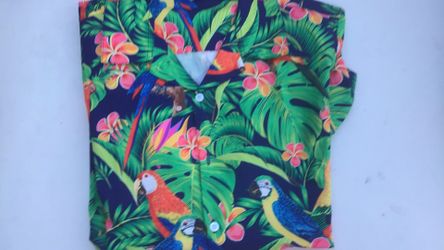 Men’s Shirts