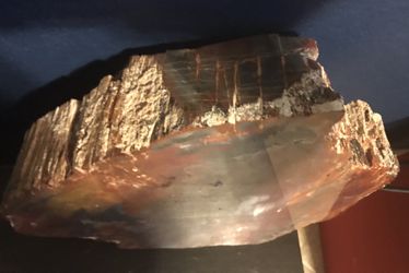 Large beautiful petrified wood fossil Decor