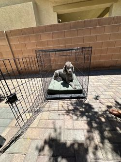 Dog Crate
