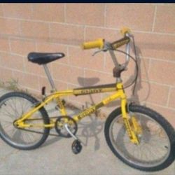 20" Bike. $175