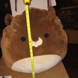 Gardenia Squishmallow 