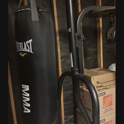 Everlast Punching And Speed Bag 