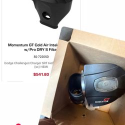 Momentum GT Cold Air Intake w/Pro Dry S Filter