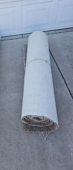 Carpet For Dog Size 142 x 52 inch