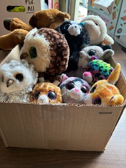 Stuffed Animals