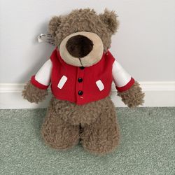 11” Archie Bear Wearing A Removable Stony Brook Medicine Vest From Mascot Factory