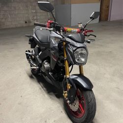 2024 Kawasaki Z125 PRO