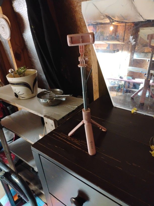 Selfie Stick