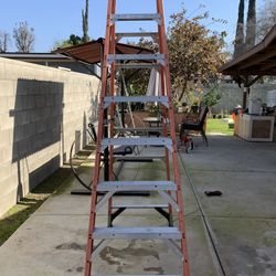 Werner Ladder 